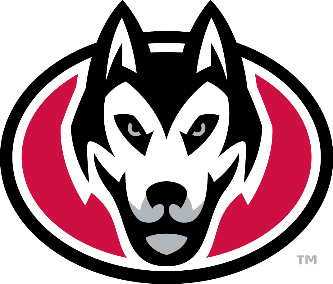 St. Cloud State Huskies 2014-Pres Secondary Logo t shirts DIY iron ons